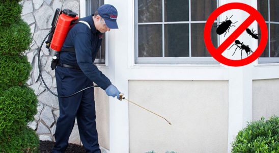 Muratpaşa Gümüşkurt İlaçlama böcek ilaçlama ve haşere kontrolü — ilaclama-tr.com